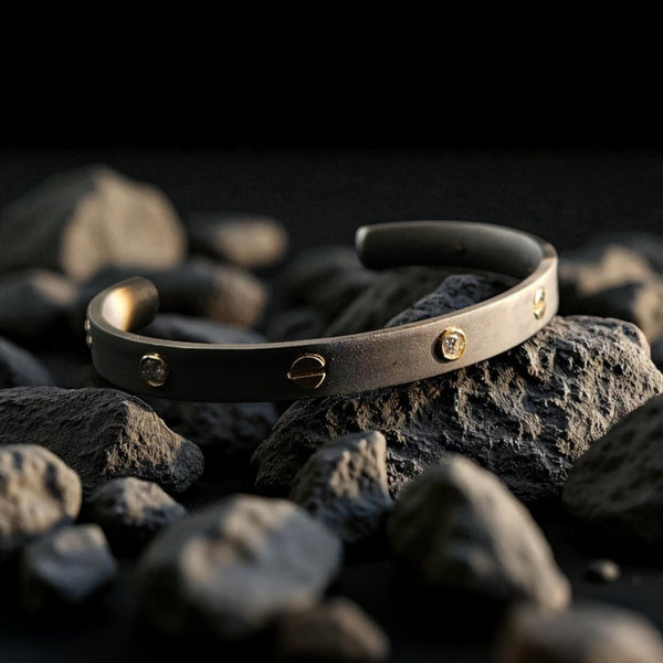 Imperium Titanium Bracelet